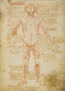 Il Libro de Cauteri 